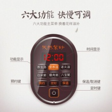 九阳紫砂煲汤锅全自动电炖锅陶瓷家用电砂锅养生锅炖盅煮粥 DG-35ZA1