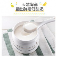 小熊（Bear）酸奶机家用全自动大容量分杯米酒机酸奶发酵菌纳豆泡菜机SNJ-C10P2